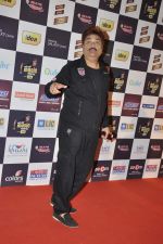 at Radio Mirchi music awards red carpet in Mumbai on 7th Feb 2013 (7).JPG